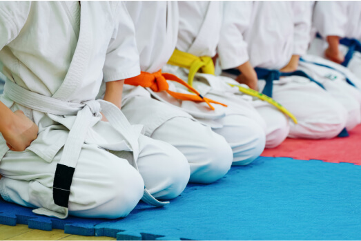 Why have a Martial Arts Academy Insurance